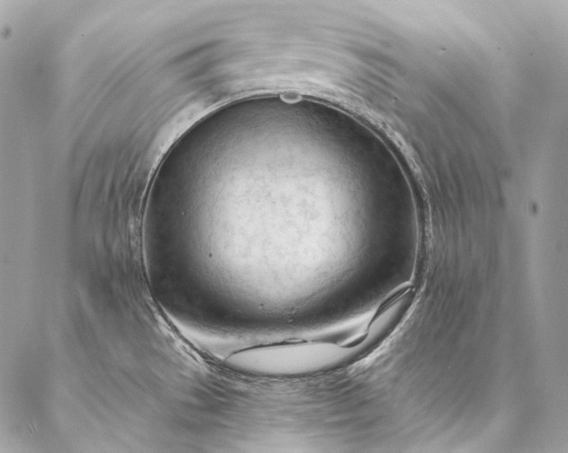 X0000087031529200704301326