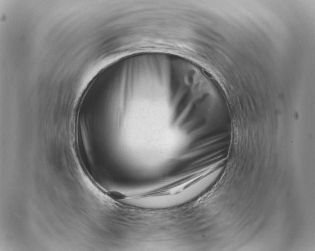 X0000087031531200704301326