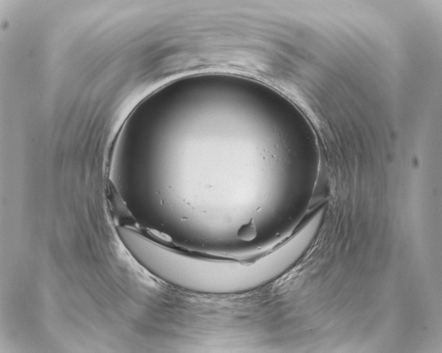 X0000087031532200704301327