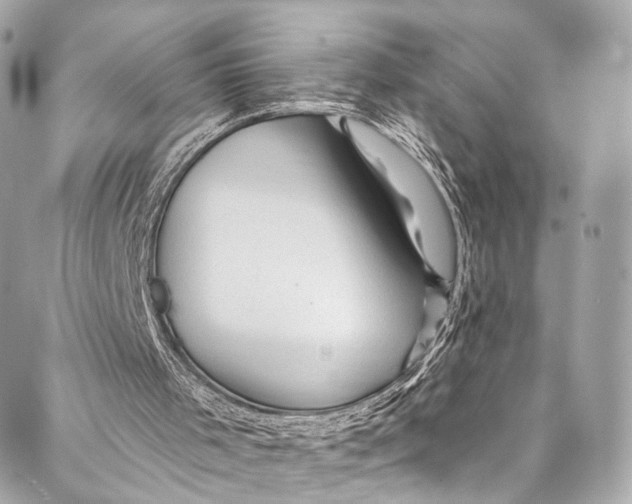 X0000087030001200705071546