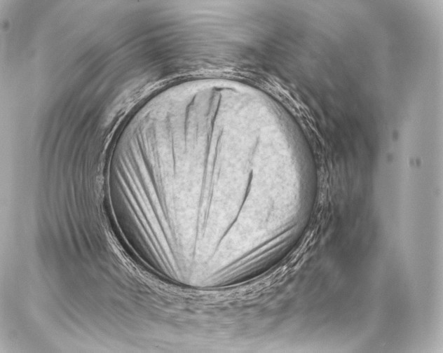 X0000087030002200705071546