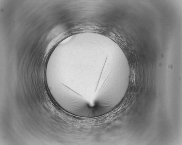 X0000087030004200705071546