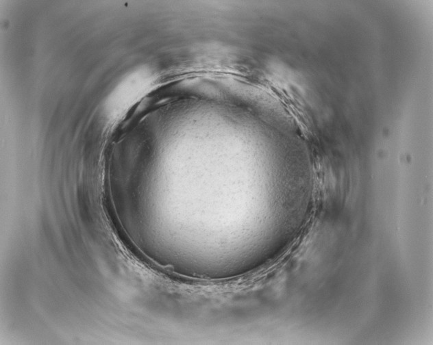 X0000087030005200705071546