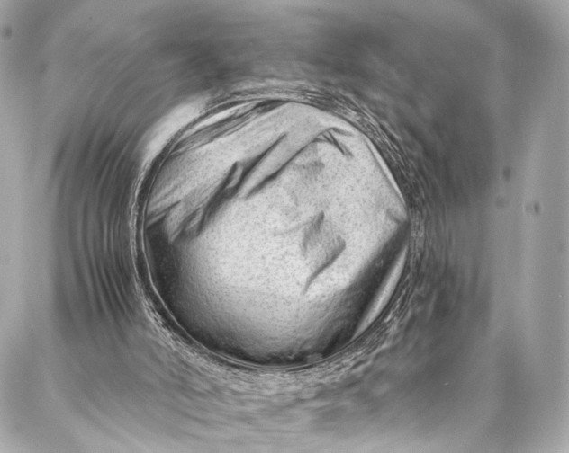 X0000087030006200705071546