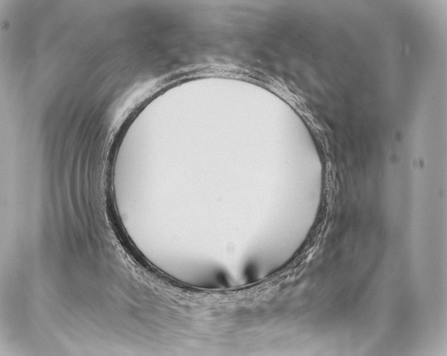 X0000087030007200705071546