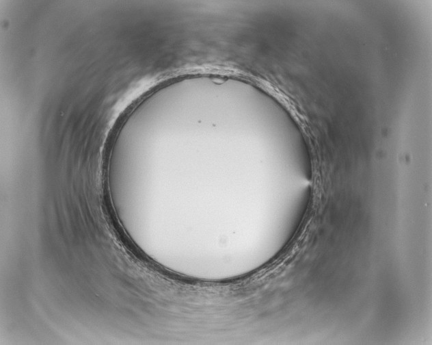 X0000087030008200705071546