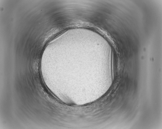 X0000087030010200705071546