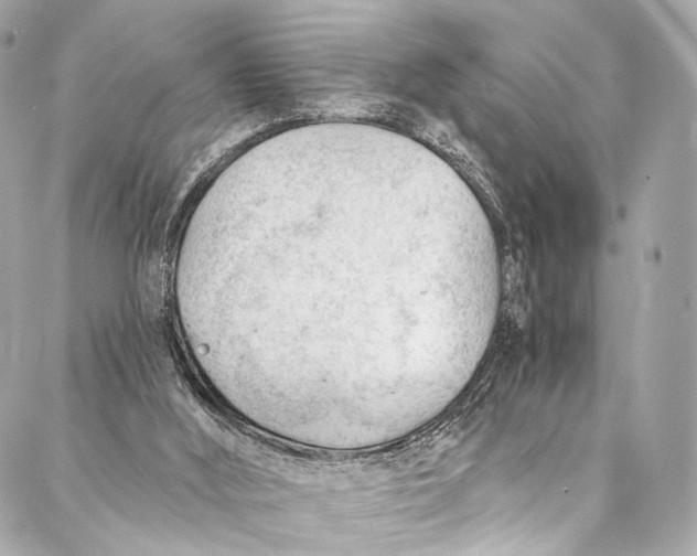 X0000087030012200705071546