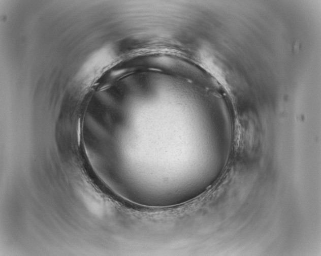 X0000087030013200705071546