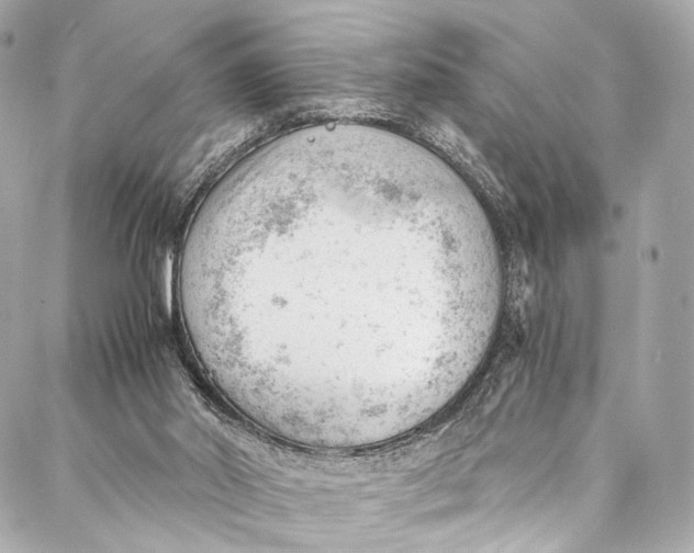 X0000087030014200705071546