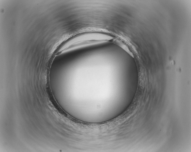 X0000087030015200705071546