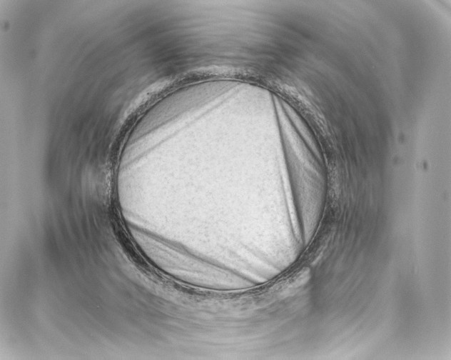 X0000087030016200705071546