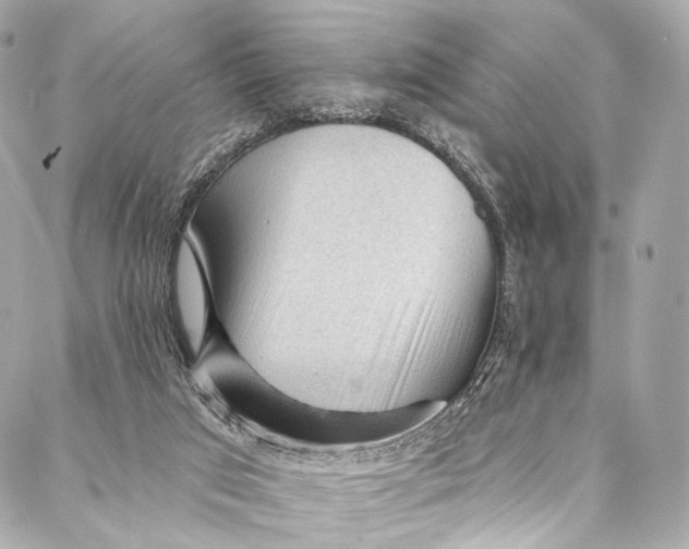 X0000087030017200705071546