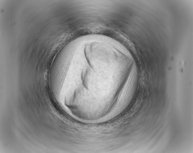 X0000087030018200705071546