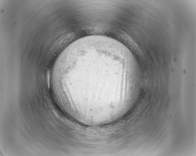 X0000087030022200705071546