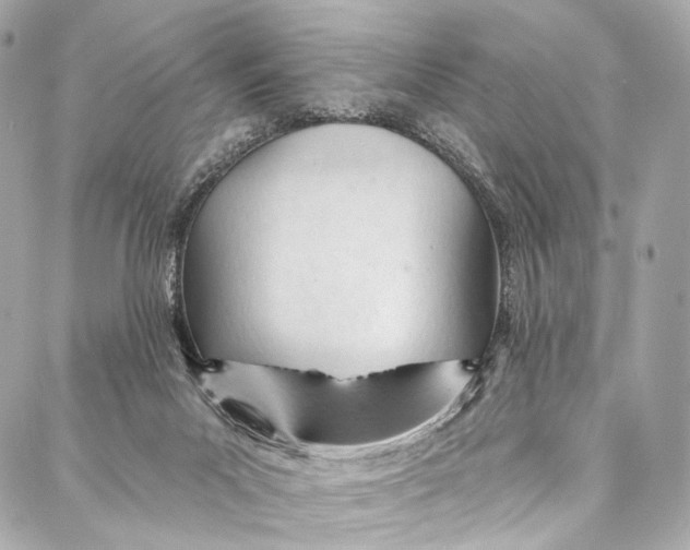 X0000087030023200705071546