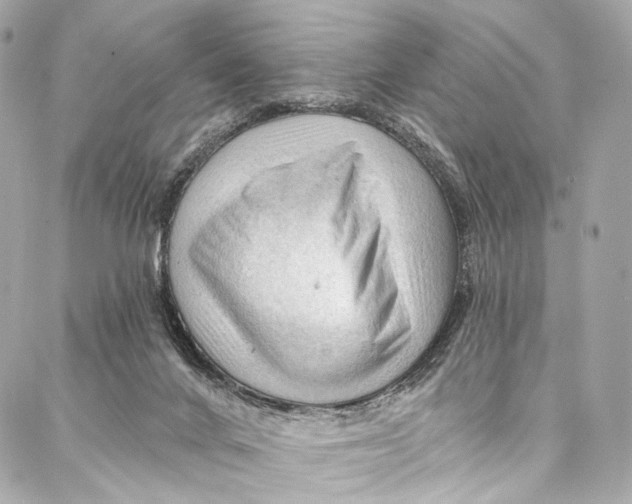 X0000087030024200705071546