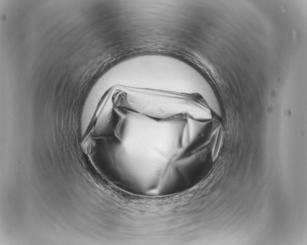 X0000087030025200705071546