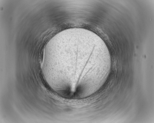 X0000087030026200705071546