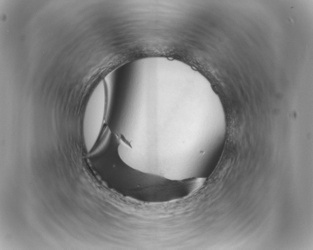 X0000087030027200705071546