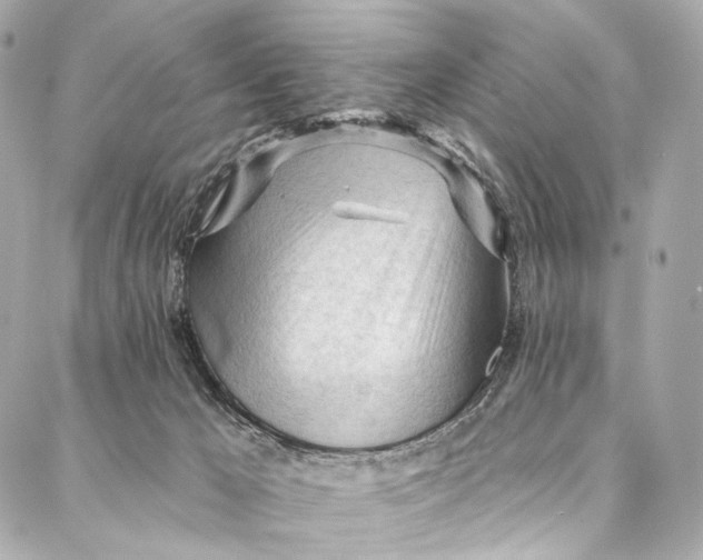 X0000087030029200705071545