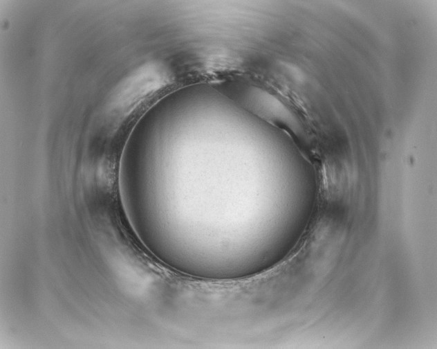 X0000087030033200705071545