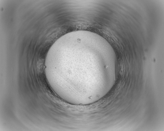 X0000087030034200705071545