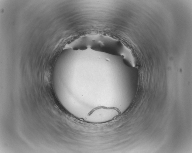 X0000087030035200705071545