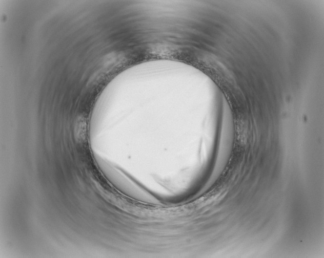 X0000087030036200705071545