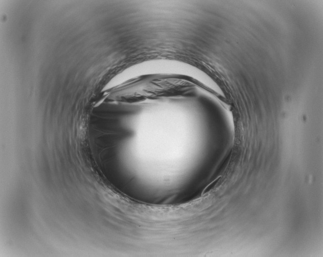 X0000087030037200705071545