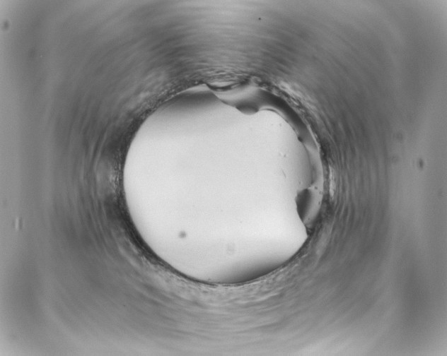 X0000087030039200705071545