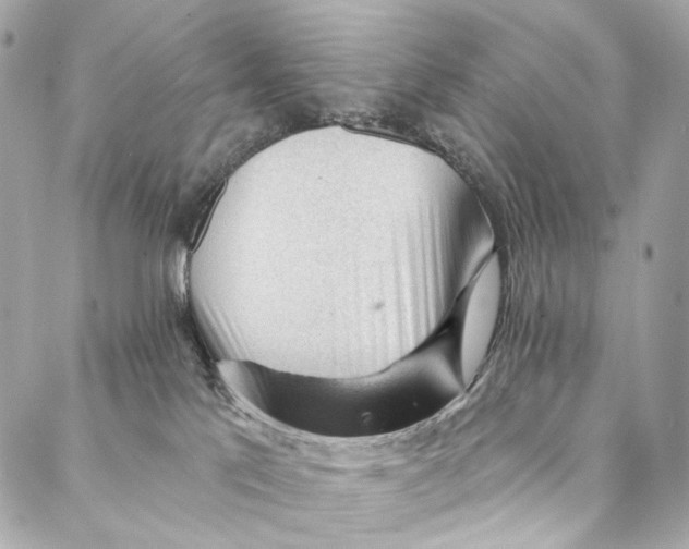 X0000087030041200705071545