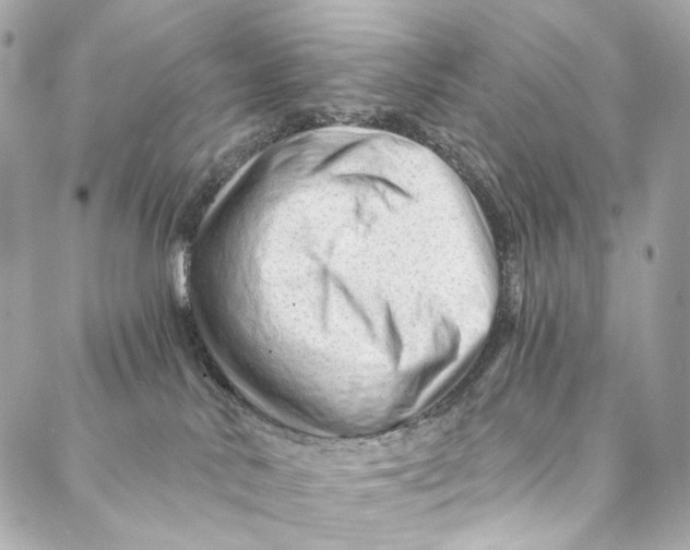 X0000087030042200705071545