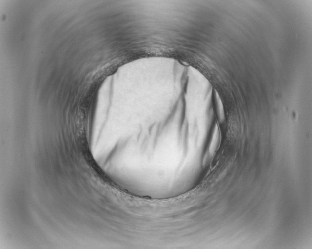 X0000087030043200705071545