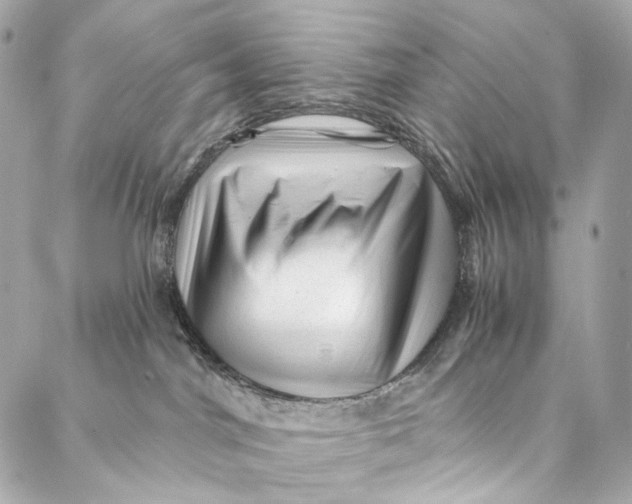 X0000087030044200705071545