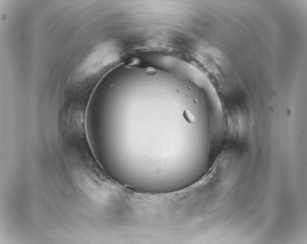 X0000087030045200705071545