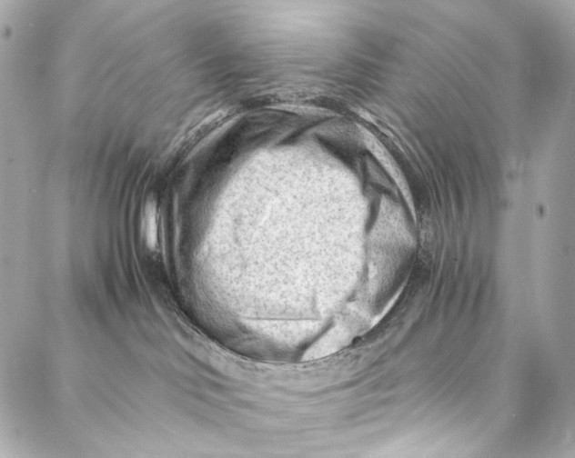 X0000087030046200705071545