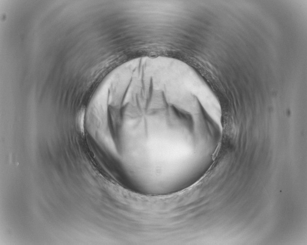 X0000087030047200705071545