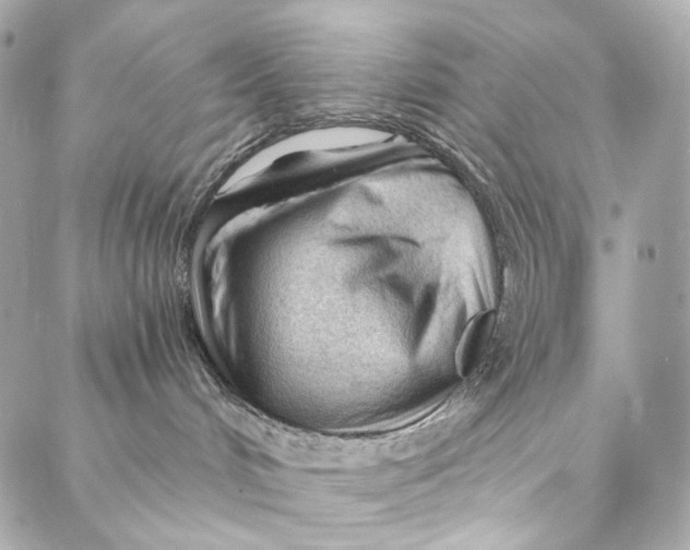 X0000087030048200705071545