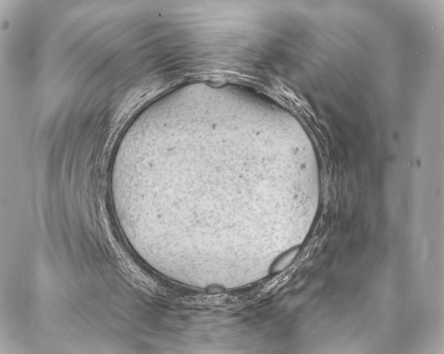 X0000087030049200705071544