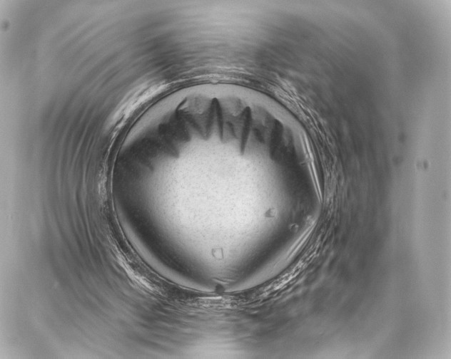 X0000087030050200705071544