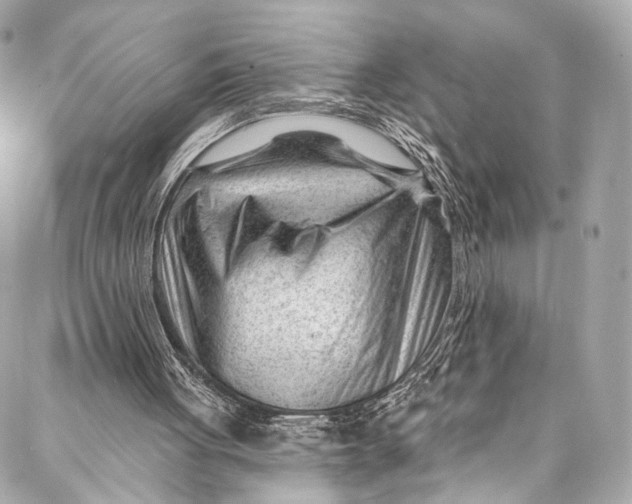 X0000087030051200705071544