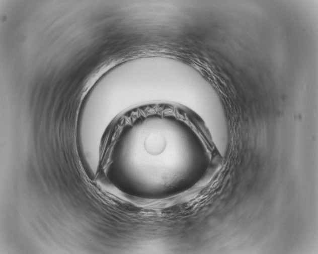 X0000087030052200705071544