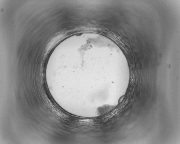 X0000087030053200705071544