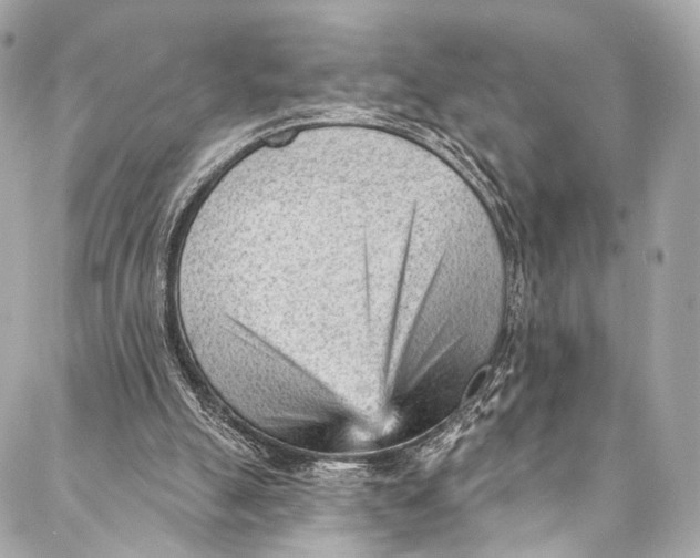 X0000087030055200705071544