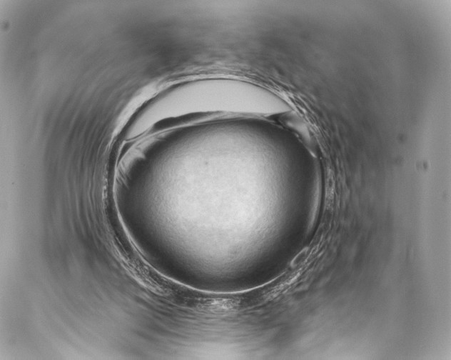 X0000087030056200705071544