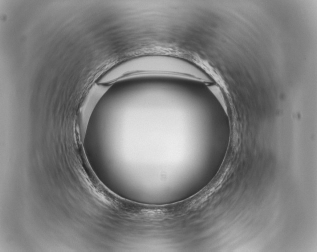 X0000087030057200705071545