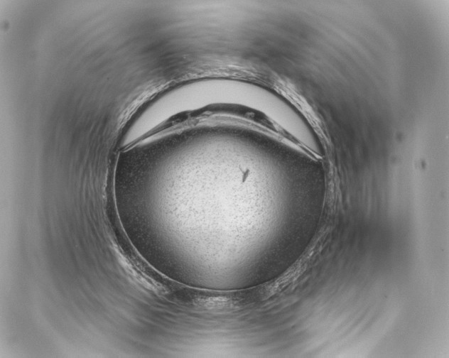 X0000087030058200705071545