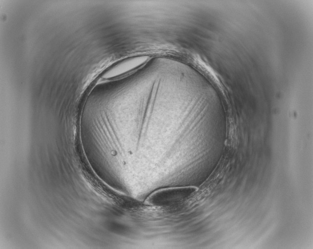 X0000087030059200705071545