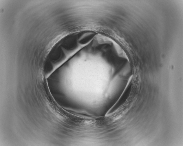 X0000087030060200705071545